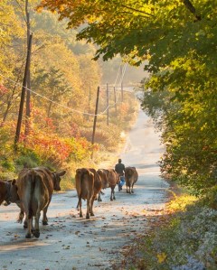 INBOX5769958ff9fb7c04ae6c0fa041ccac948ca53